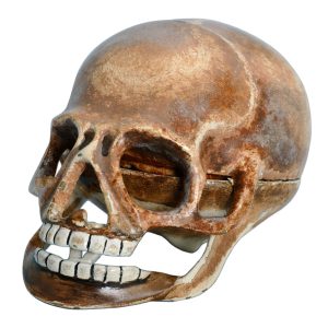 English verge in memento mori skull-form case Circa 1820